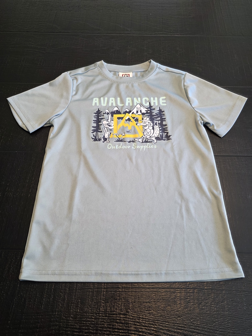 Avalanche Outdoor Supplies Boy's Light Blue Graphic Tee